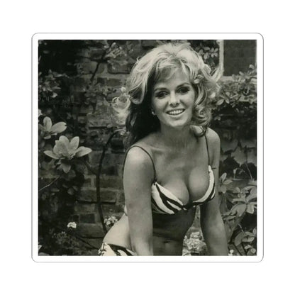 Julie Ege #104 (Vintage Female Icon) STICKER Vinyl Kiss-Cut Decal 2 Inch White - The Sticker Space