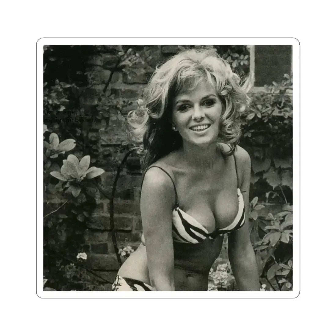 Julie Ege #104 (Vintage Female Icon) STICKER Vinyl Kiss-Cut Decal 6 Inch White - The Sticker Space