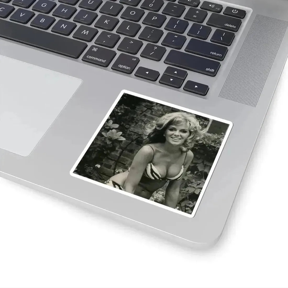 Julie Ege #104 (Vintage Female Icon) STICKER Vinyl Kiss-Cut Decal - The Sticker Space