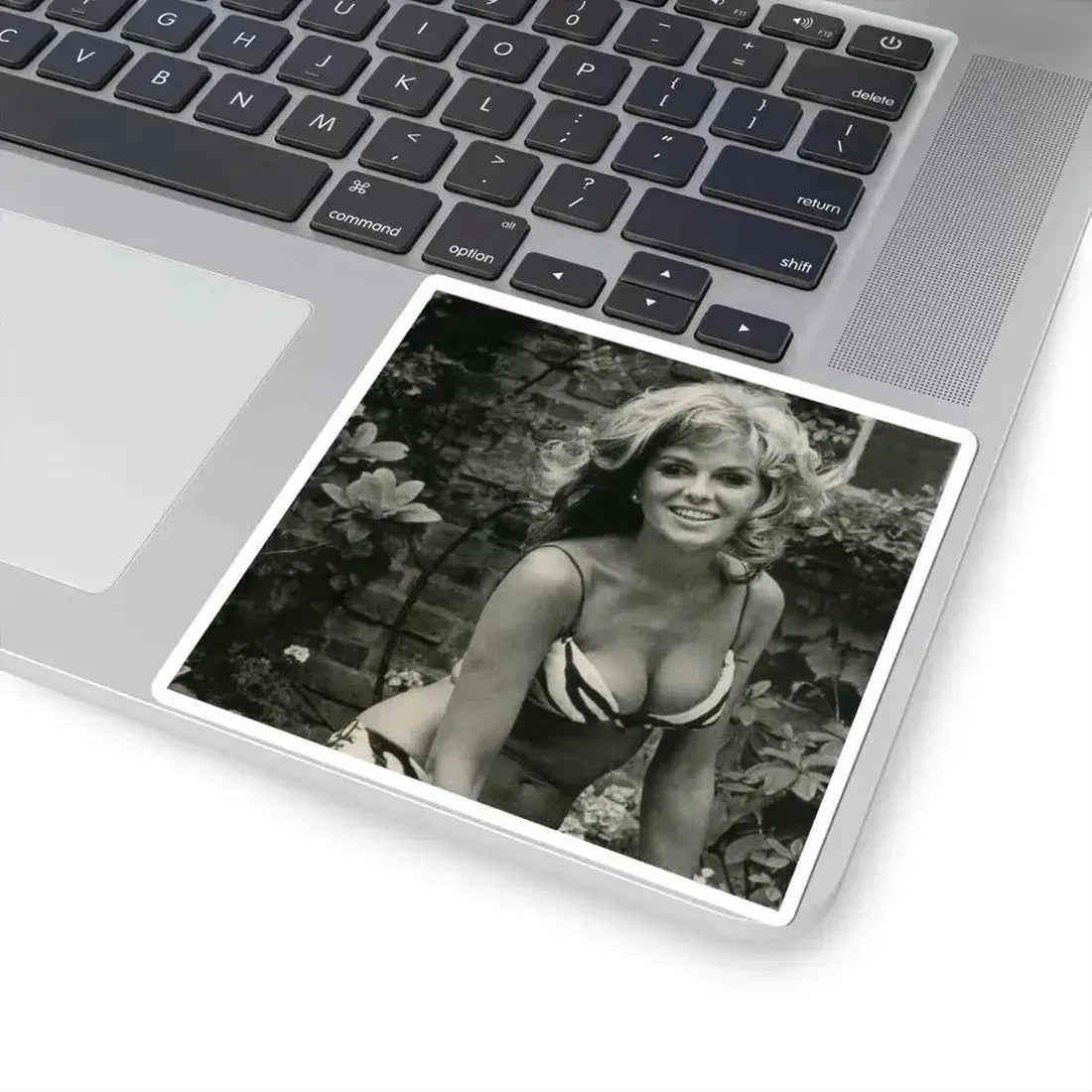 Julie Ege #104 (Vintage Female Icon) STICKER Vinyl Kiss-Cut Decal - The Sticker Space