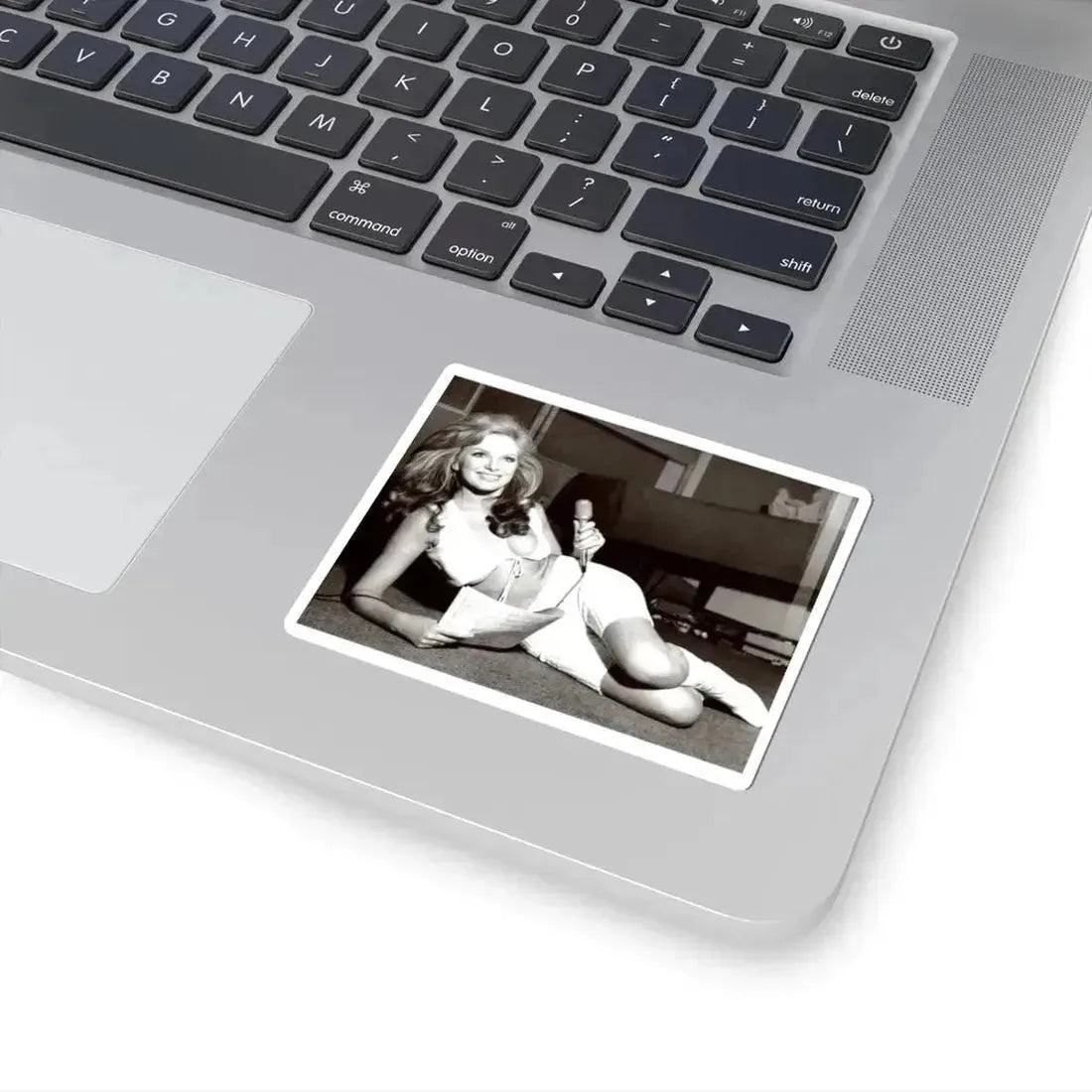 Julie Ege #111 (Vintage Female Icon) STICKER Vinyl Kiss-Cut Decal - The Sticker Space