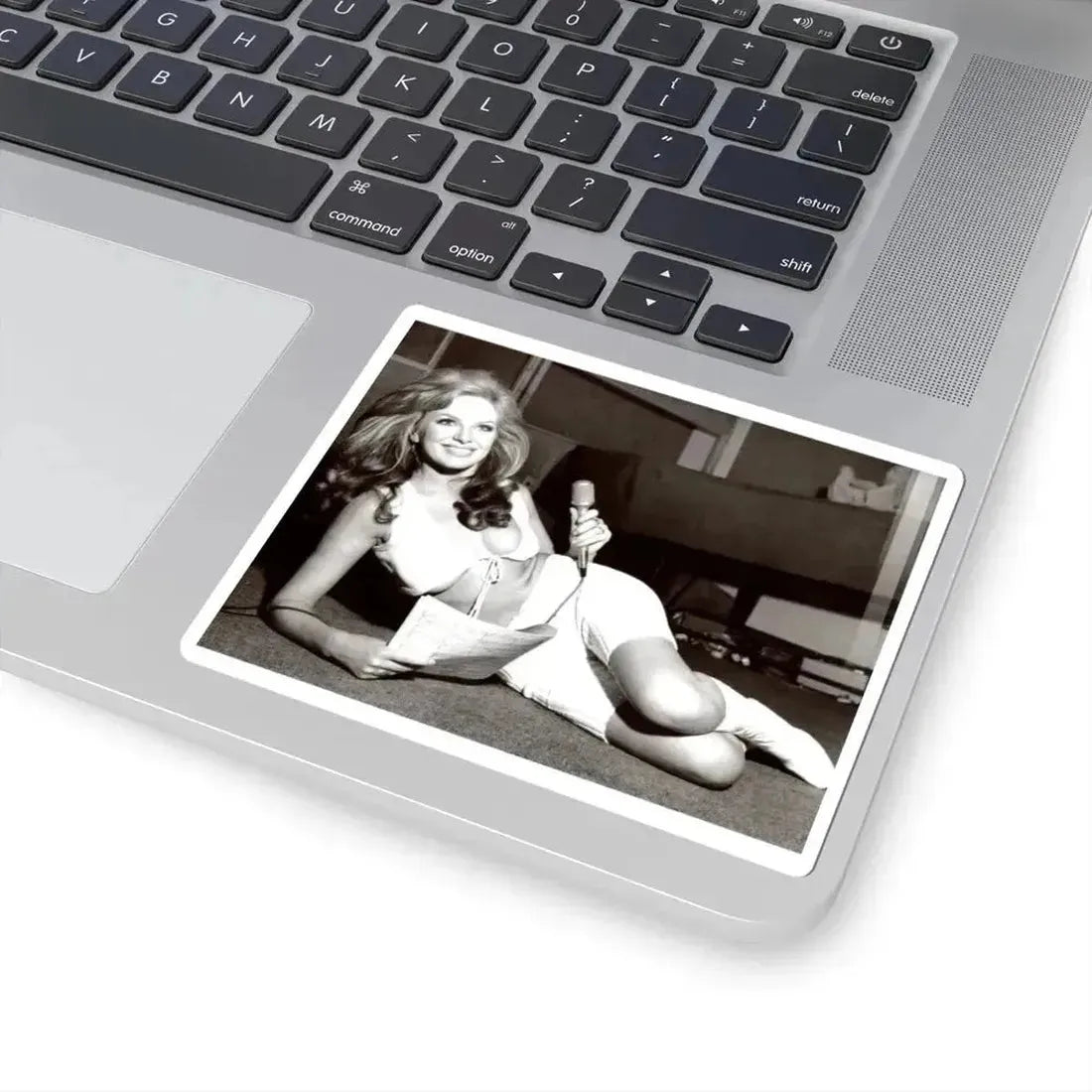 Julie Ege #111 (Vintage Female Icon) STICKER Vinyl Kiss-Cut Decal - The Sticker Space