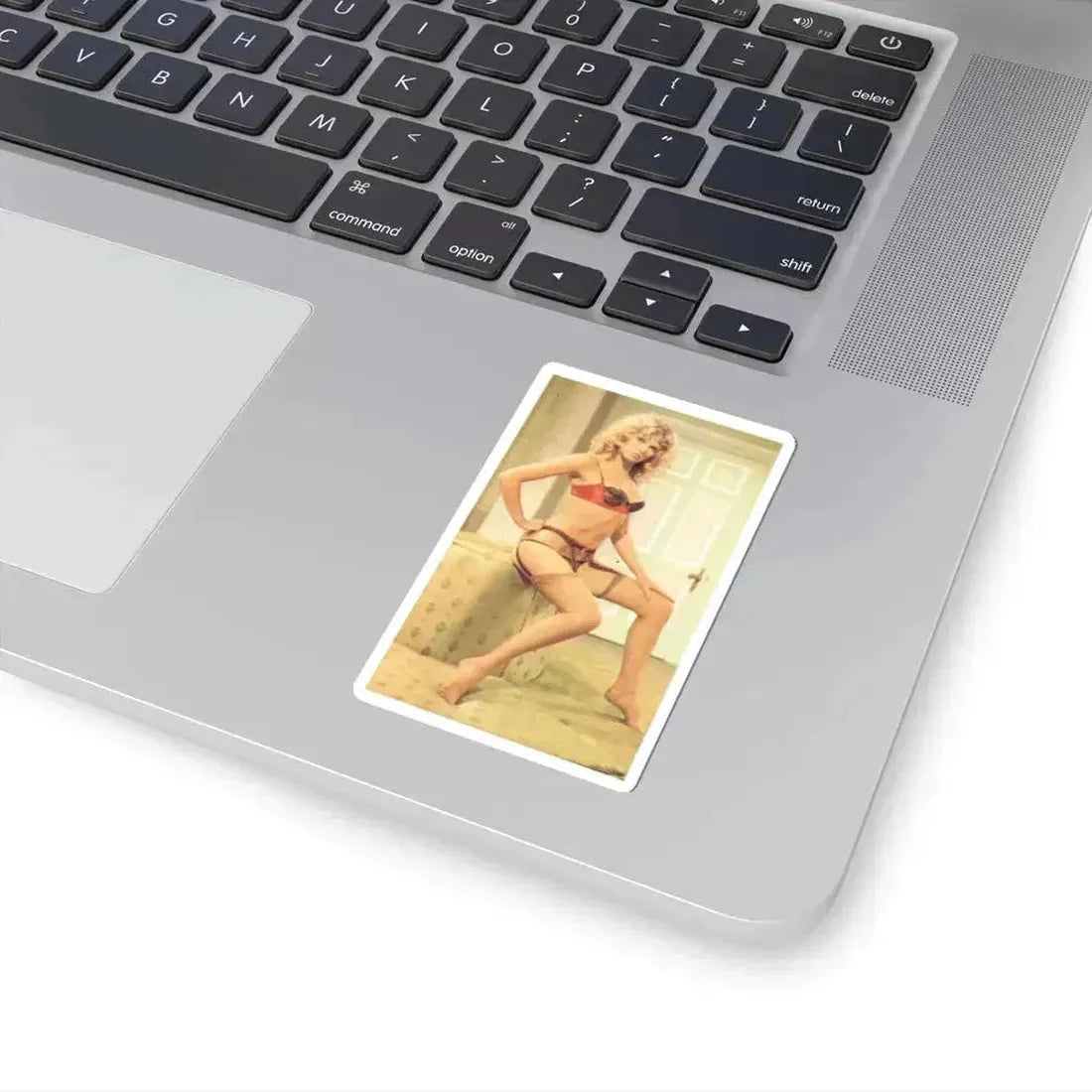 Julie Ege #117 (Vintage Female Icon) STICKER Vinyl Kiss-Cut Decal - The Sticker Space