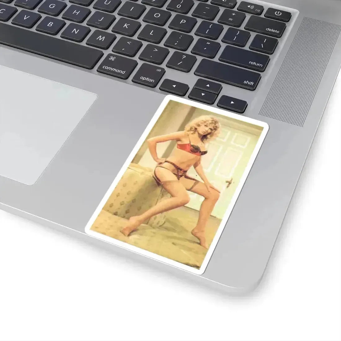 Julie Ege #117 (Vintage Female Icon) STICKER Vinyl Kiss-Cut Decal - The Sticker Space