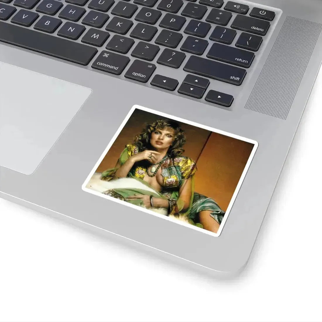 Julie Ege #120 (Vintage Female Icon) STICKER Vinyl Kiss-Cut Decal - The Sticker Space