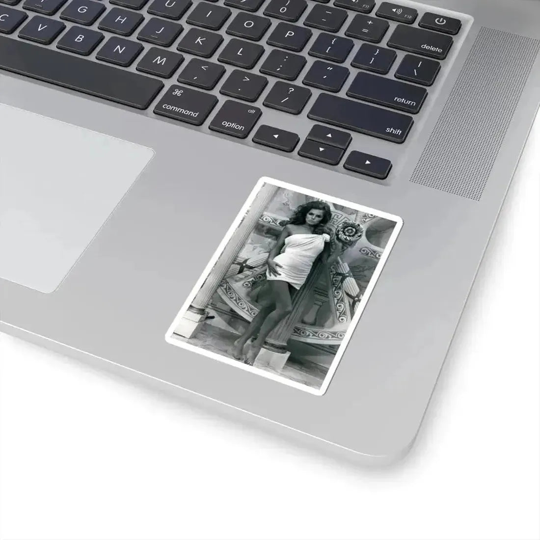 Julie Ege #124 (Vintage Female Icon) STICKER Vinyl Kiss-Cut Decal - The Sticker Space