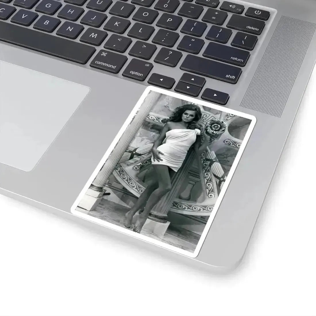 Julie Ege #124 (Vintage Female Icon) STICKER Vinyl Kiss-Cut Decal - The Sticker Space