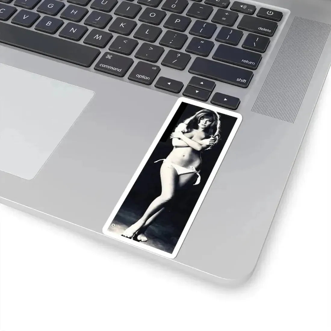 Julie Ege #126 (Vintage Female Icon) STICKER Vinyl Kiss-Cut Decal - The Sticker Space