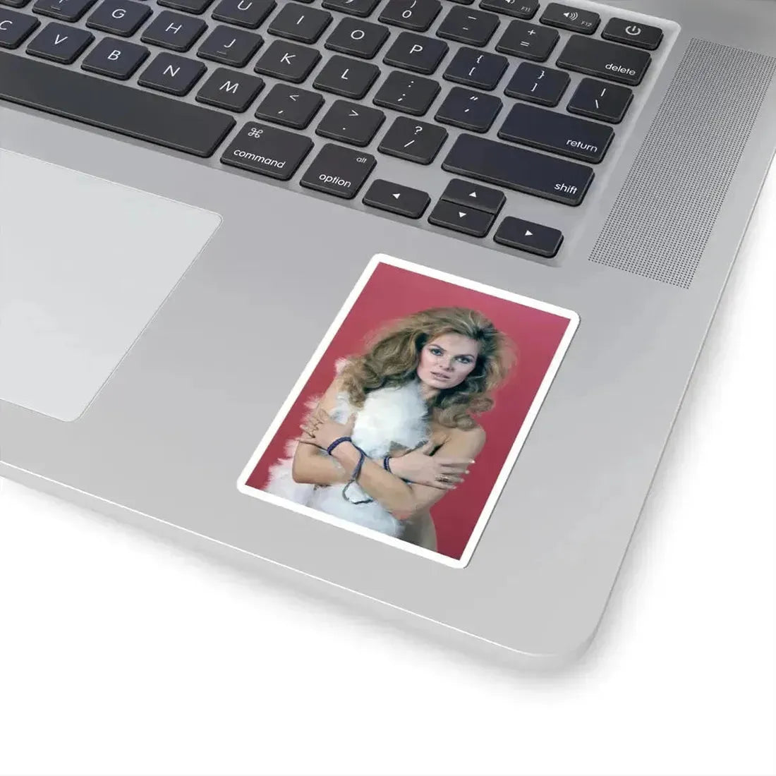 Julie Ege #129 (Vintage Female Icon) STICKER Vinyl Kiss-Cut Decal - The Sticker Space