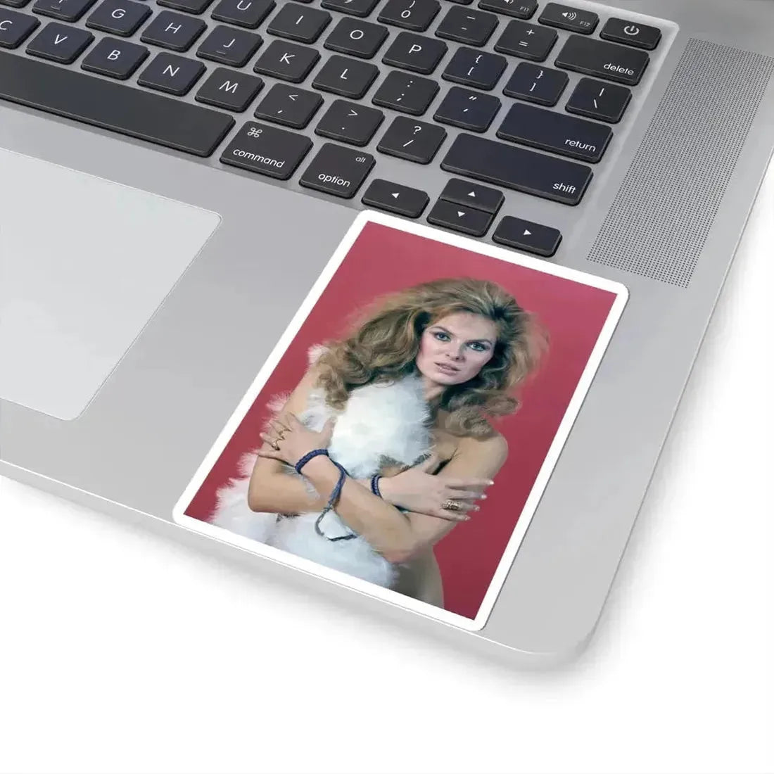 Julie Ege #129 (Vintage Female Icon) STICKER Vinyl Kiss-Cut Decal - The Sticker Space