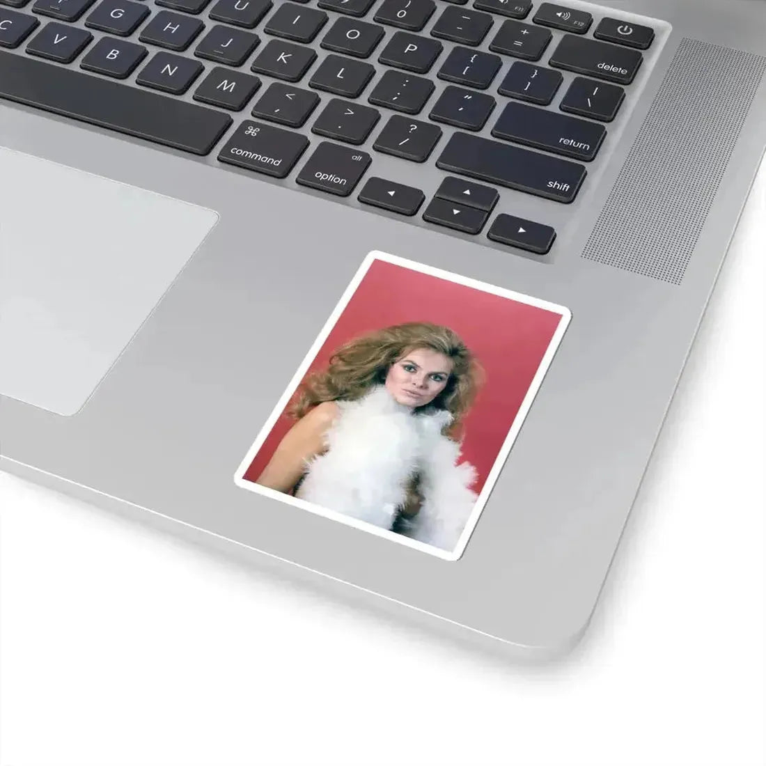 Julie Ege #148 (Vintage Female Icon) STICKER Vinyl Kiss-Cut Decal - The Sticker Space