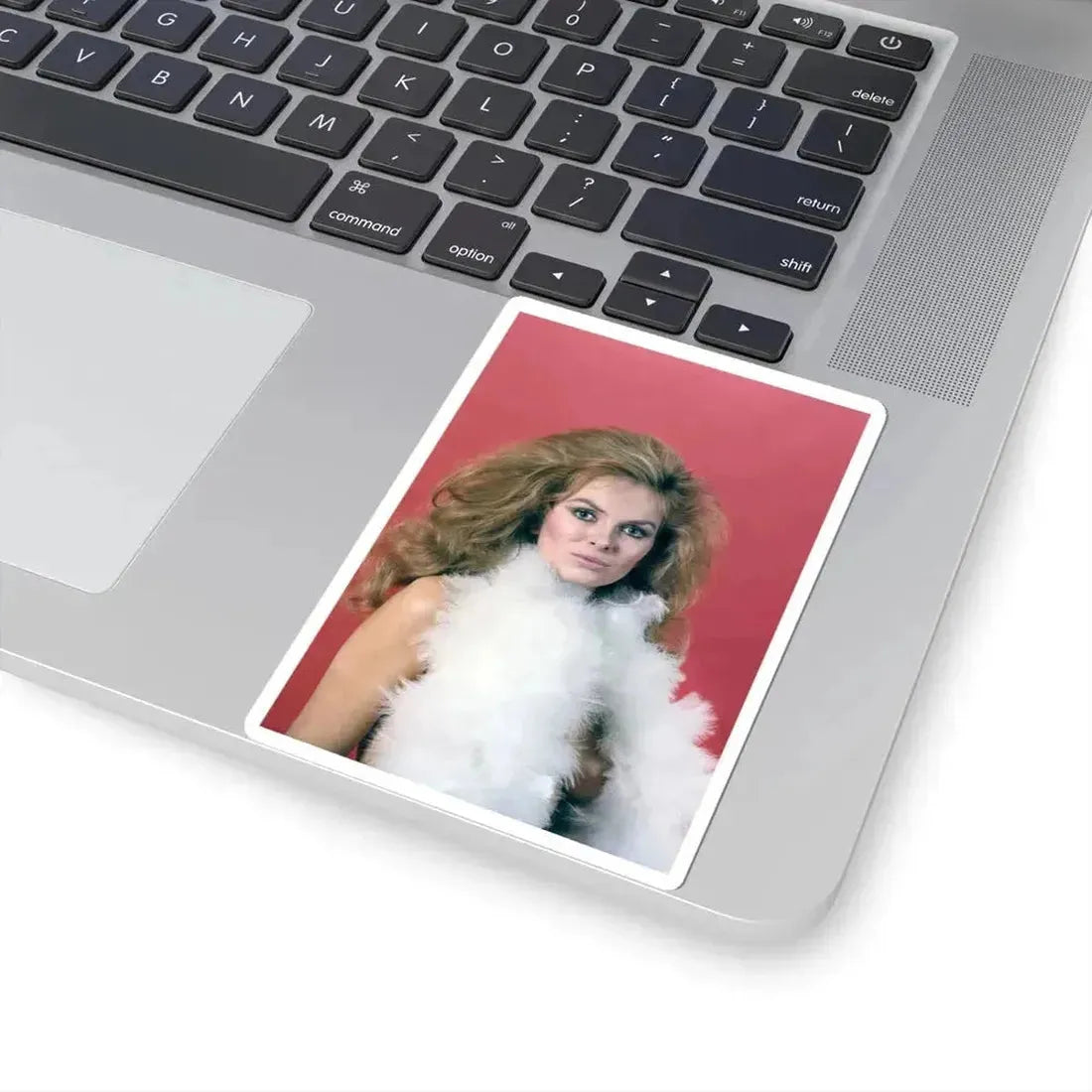 Julie Ege #148 (Vintage Female Icon) STICKER Vinyl Kiss-Cut Decal - The Sticker Space