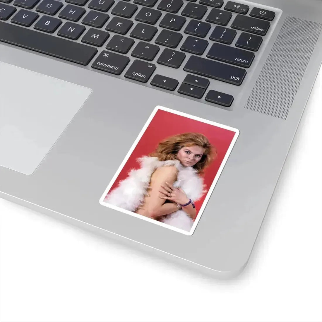 Julie Ege #149 (Vintage Female Icon) STICKER Vinyl Kiss-Cut Decal - The Sticker Space