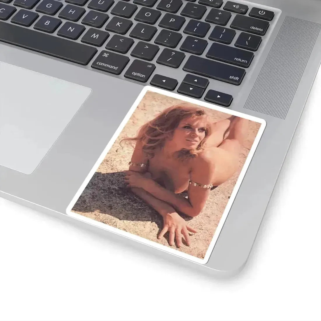 Julie Ege #171 (Vintage Female Icon) STICKER Vinyl Kiss-Cut Decal - The Sticker Space