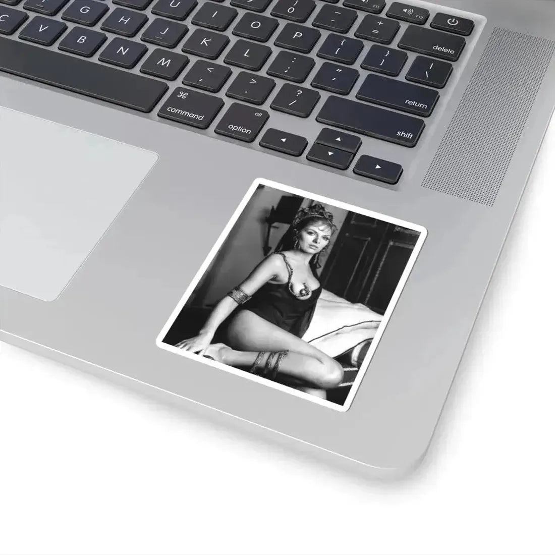 Julie Ege #173 (Vintage Female Icon) STICKER Vinyl Kiss-Cut Decal - The Sticker Space