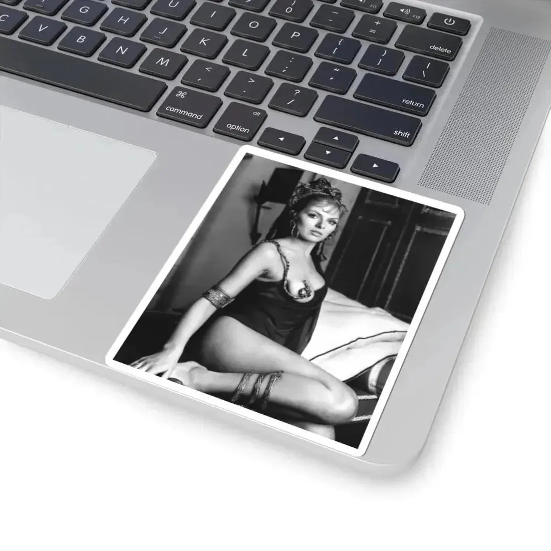 Julie Ege #173 (Vintage Female Icon) STICKER Vinyl Kiss-Cut Decal - The Sticker Space