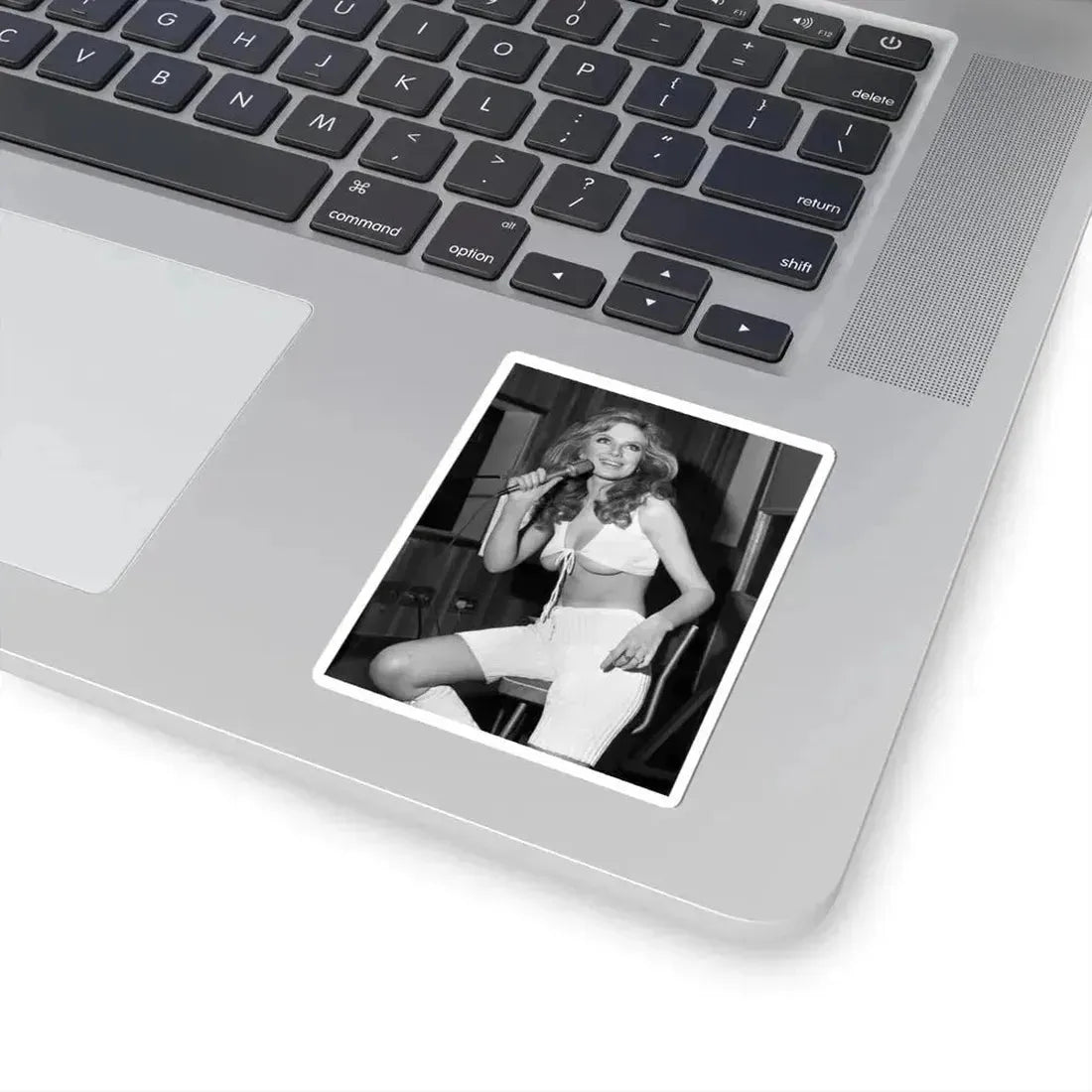 Julie Ege #221 (Vintage Female Icon) STICKER Vinyl Kiss-Cut Decal - The Sticker Space