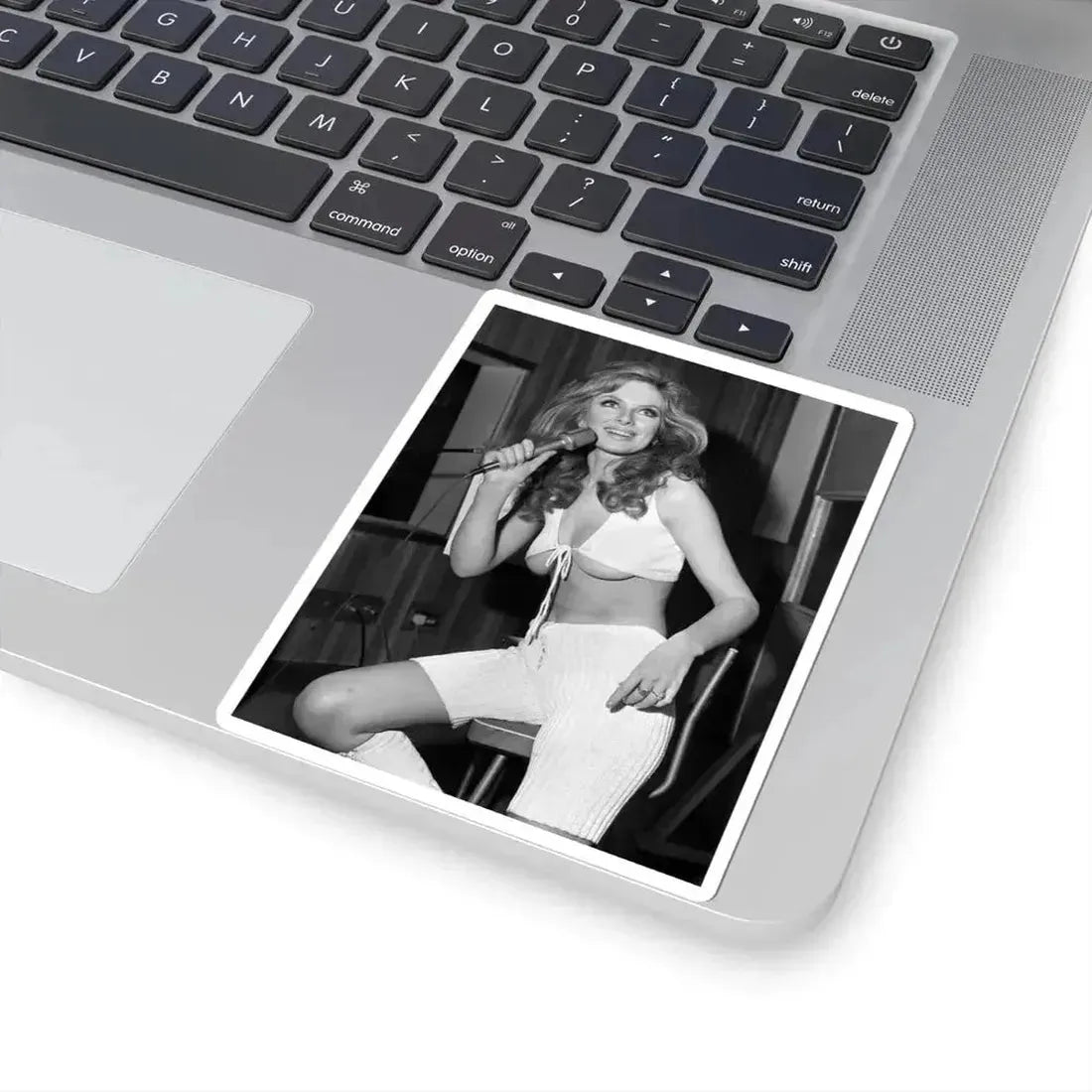 Julie Ege #221 (Vintage Female Icon) STICKER Vinyl Kiss-Cut Decal - The Sticker Space