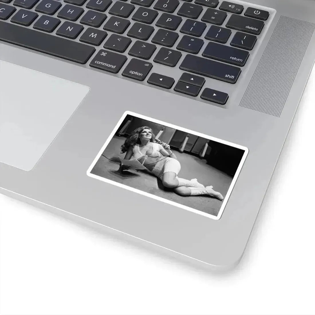 Julie Ege #235 (Vintage Female Icon) STICKER Vinyl Kiss-Cut Decal - The Sticker Space