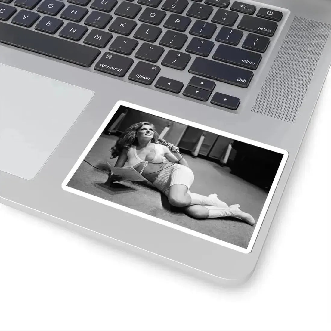 Julie Ege #235 (Vintage Female Icon) STICKER Vinyl Kiss-Cut Decal - The Sticker Space