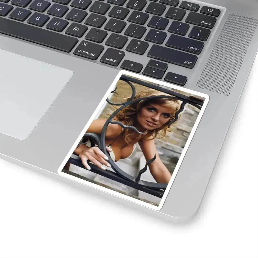 Julie Ege #239 (Vintage Female Icon) STICKER Vinyl Kiss-Cut Decal - The Sticker Space