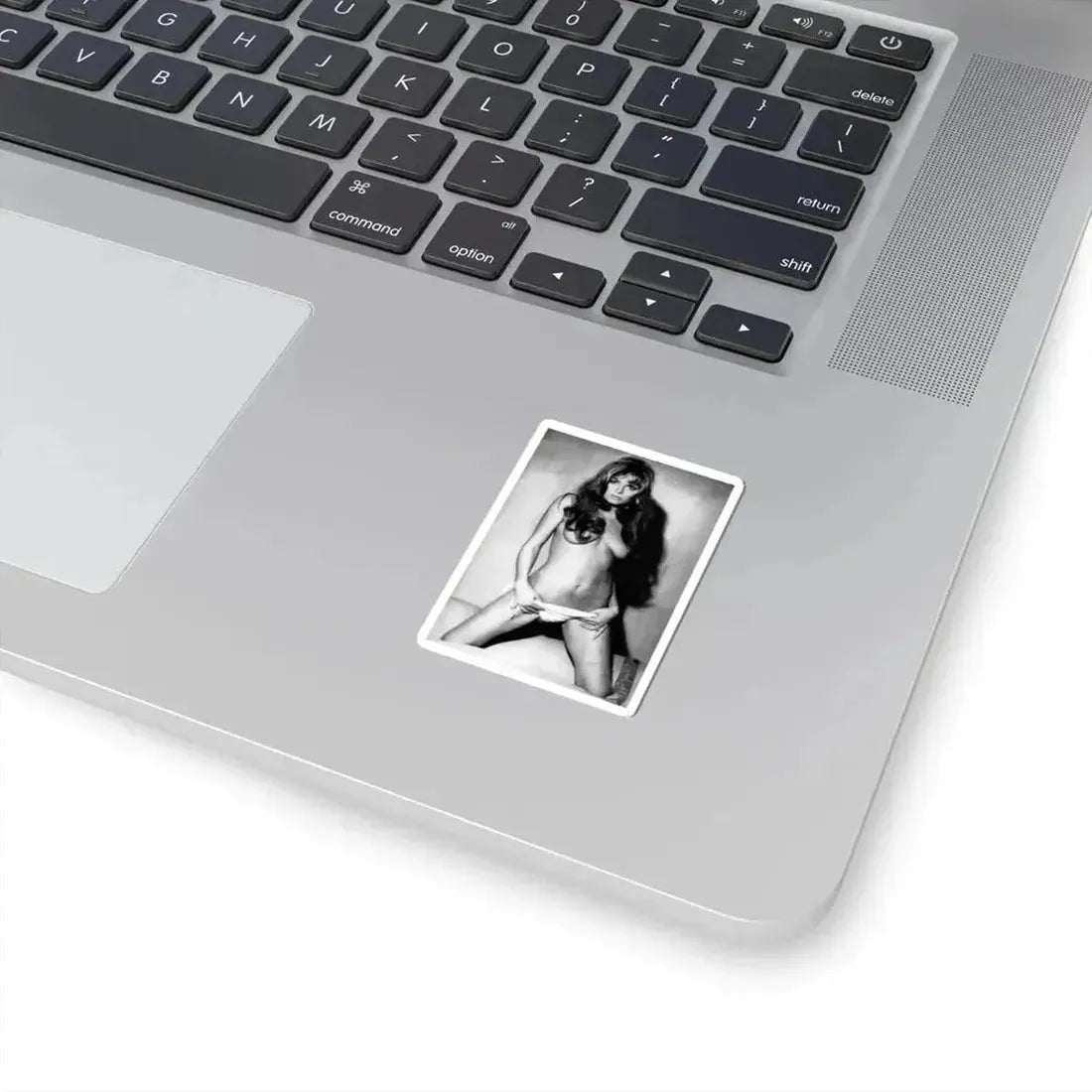 Julie Ege #240 (Vintage Female Icon) STICKER Vinyl Kiss-Cut Decal - The Sticker Space