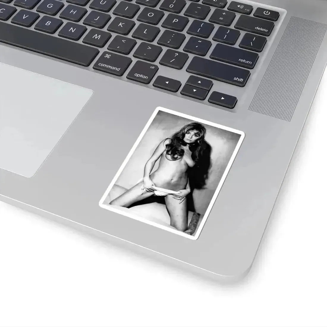 Julie Ege #240 (Vintage Female Icon) STICKER Vinyl Kiss-Cut Decal - The Sticker Space