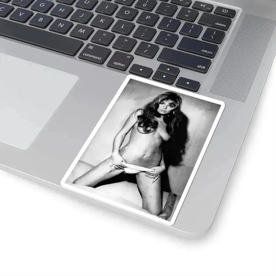 Julie Ege #240 (Vintage Female Icon) STICKER Vinyl Kiss-Cut Decal - The Sticker Space