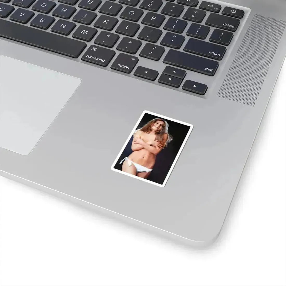 Julie Ege #241 (Vintage Female Icon) STICKER Vinyl Kiss-Cut Decal - The Sticker Space