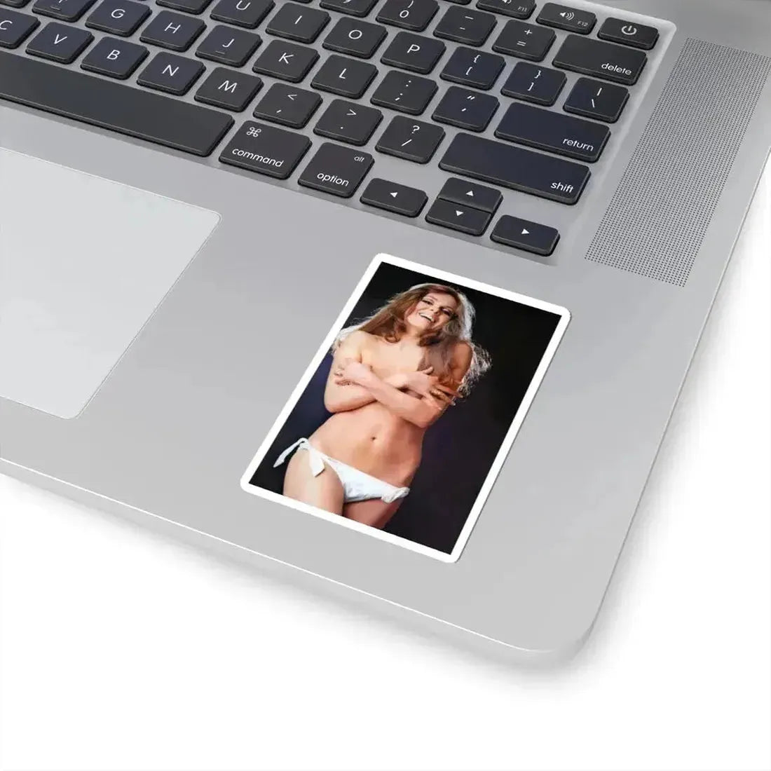 Julie Ege #241 (Vintage Female Icon) STICKER Vinyl Kiss-Cut Decal - The Sticker Space