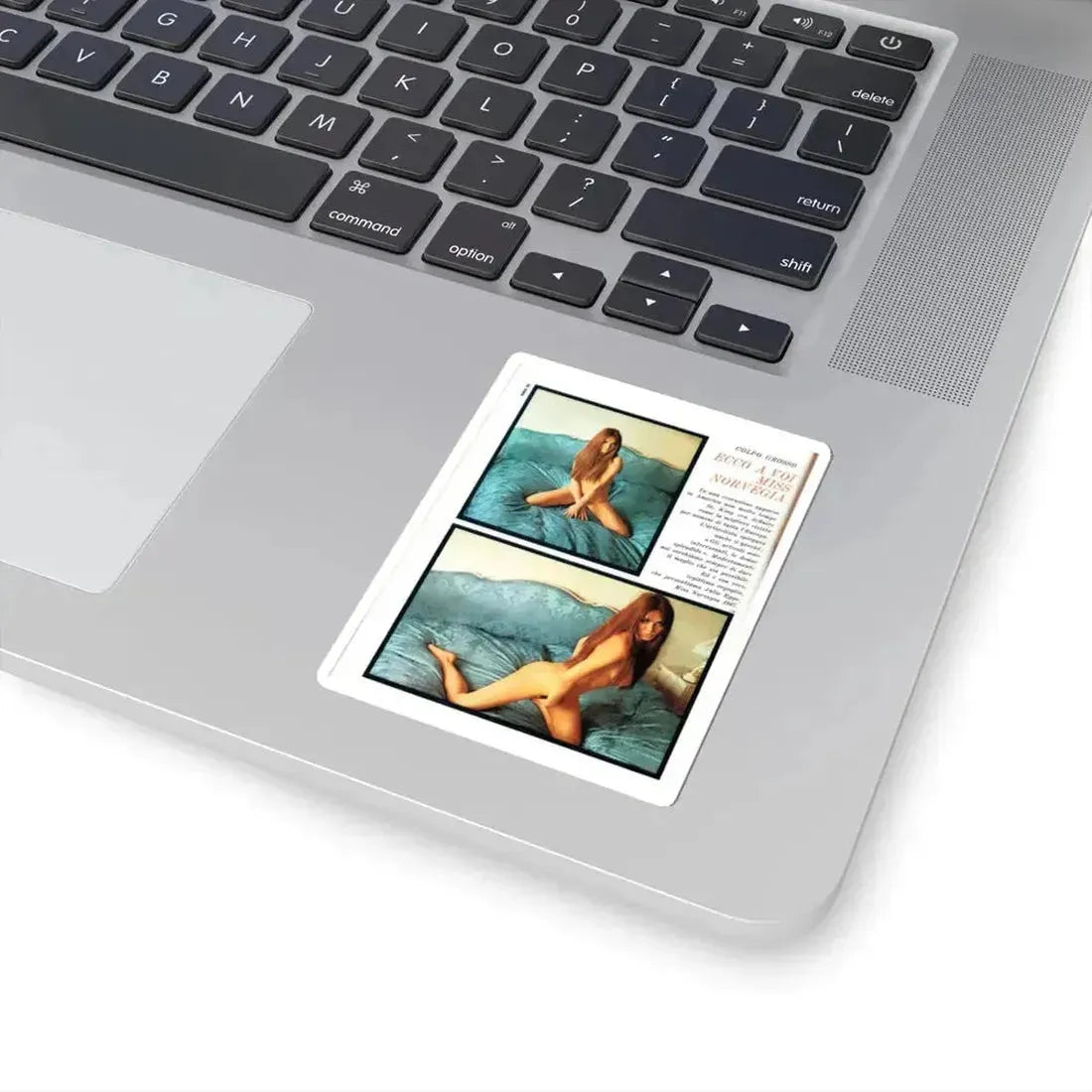 Julie Ege #244 (Vintage Female Icon) STICKER Vinyl Kiss-Cut Decal - The Sticker Space