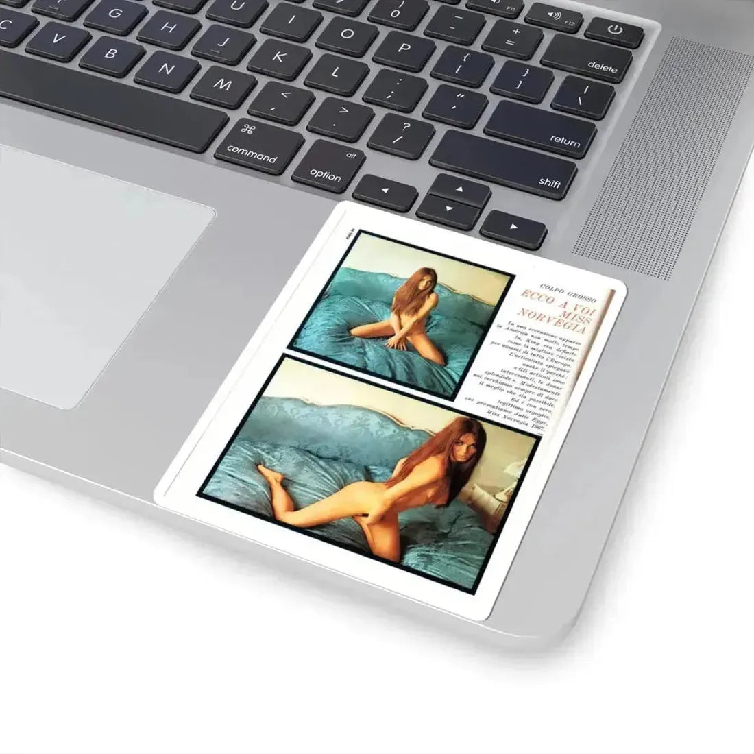 Julie Ege #244 (Vintage Female Icon) STICKER Vinyl Kiss-Cut Decal - The Sticker Space