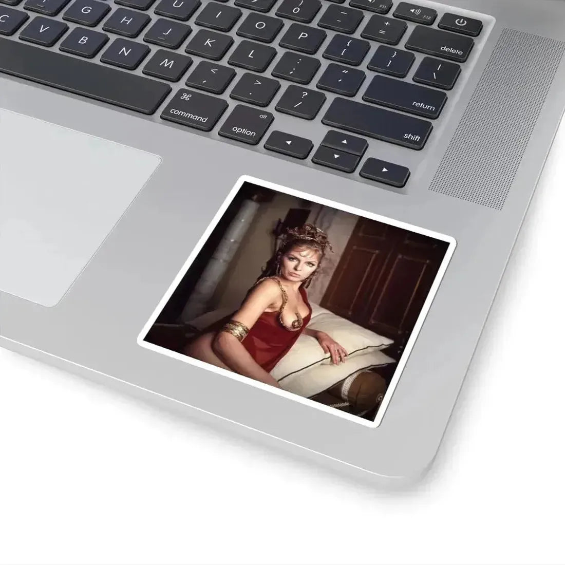 Julie Ege #253 (Vintage Female Icon) STICKER Vinyl Kiss-Cut Decal - The Sticker Space