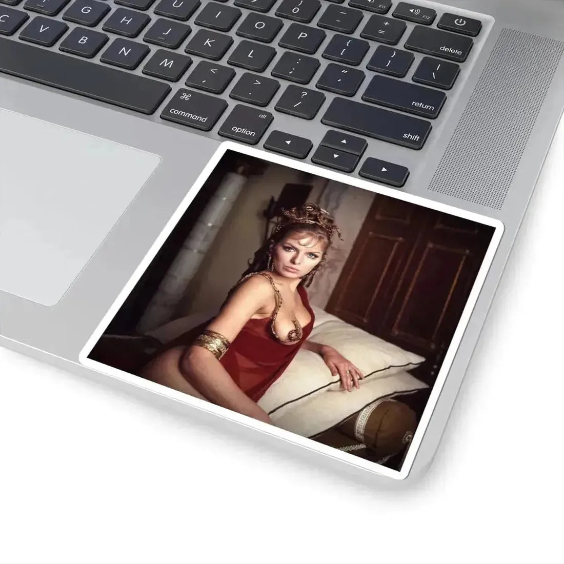 Julie Ege #253 (Vintage Female Icon) STICKER Vinyl Kiss-Cut Decal - The Sticker Space