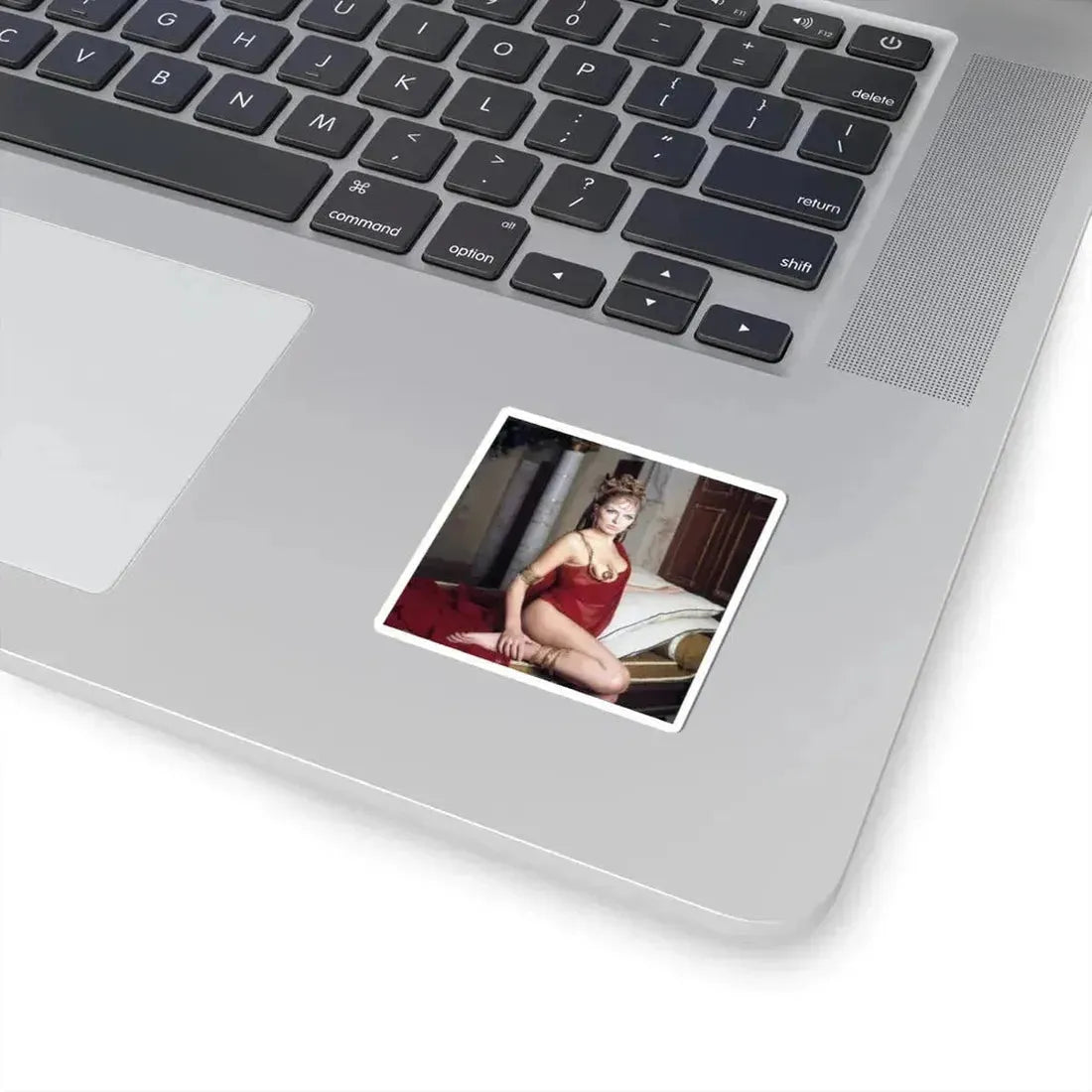 Julie Ege #254 (Vintage Female Icon) STICKER Vinyl Kiss-Cut Decal - The Sticker Space