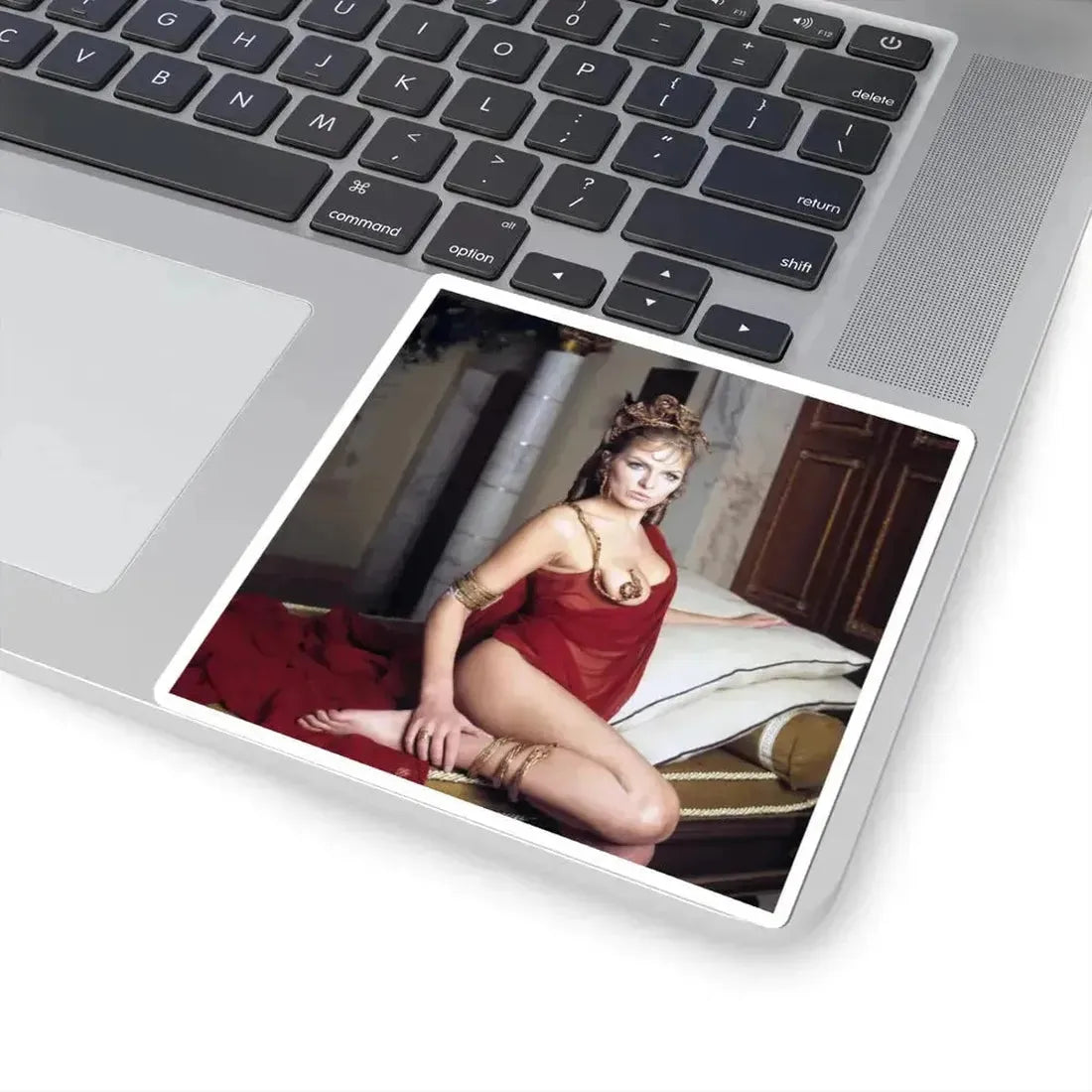 Julie Ege #254 (Vintage Female Icon) STICKER Vinyl Kiss-Cut Decal - The Sticker Space