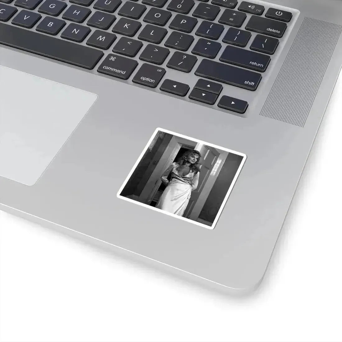 Julie Ege #257 (Vintage Female Icon) STICKER Vinyl Kiss-Cut Decal - The Sticker Space