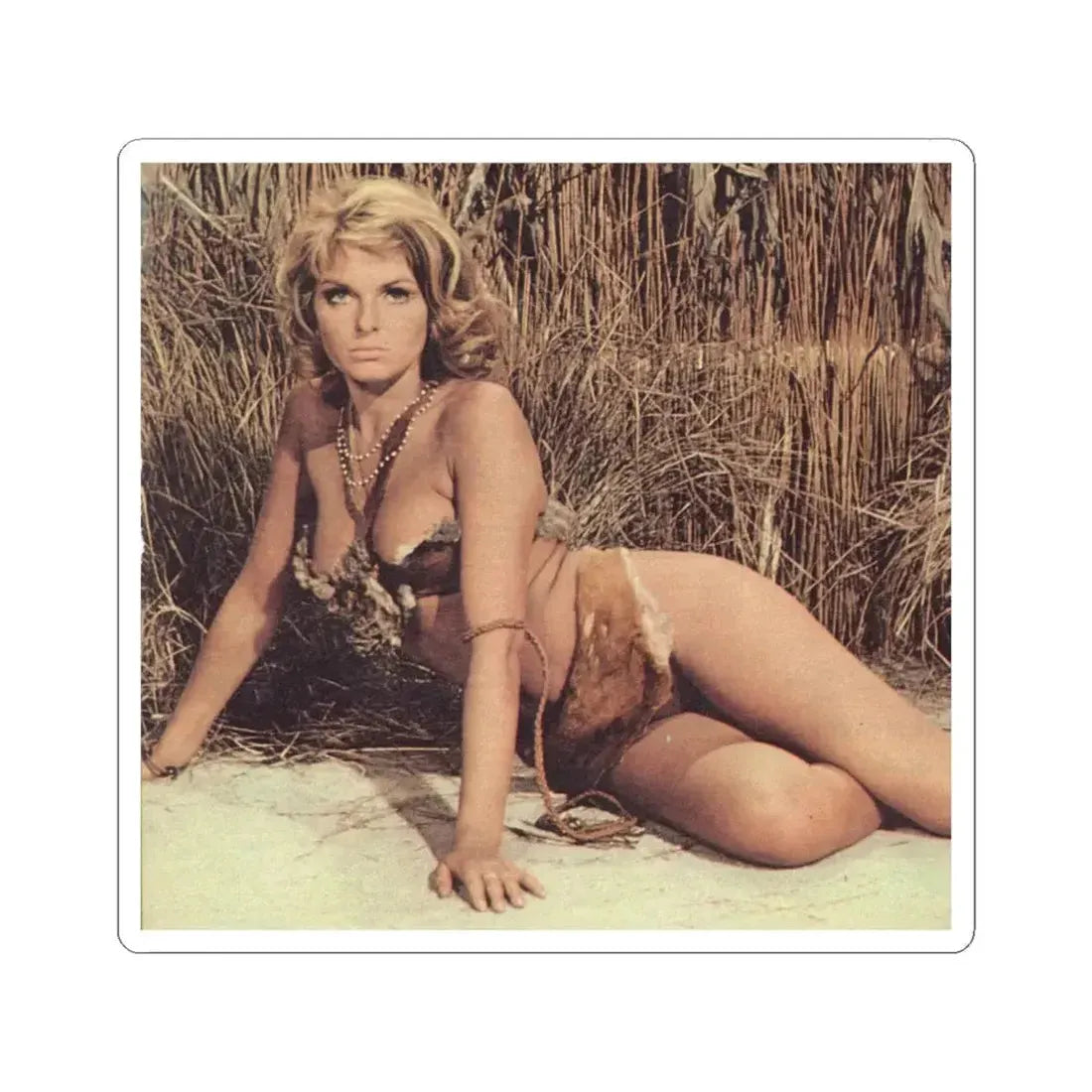 Julie Ege #99 (Vintage Female Icon) STICKER Vinyl Kiss-Cut Decal 6 Inch White - The Sticker Space