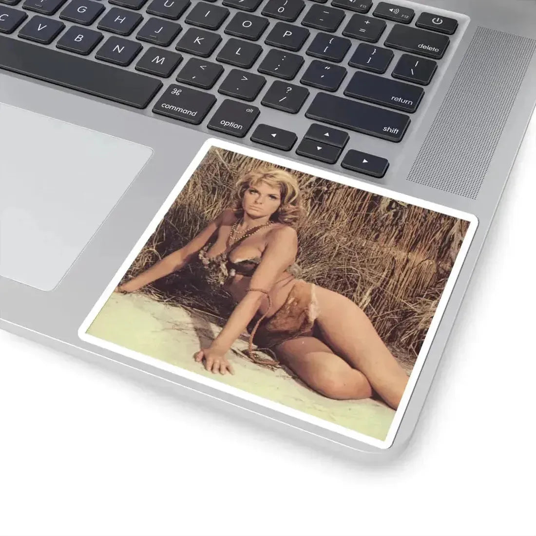 Julie Ege #99 (Vintage Female Icon) STICKER Vinyl Kiss-Cut Decal - The Sticker Space