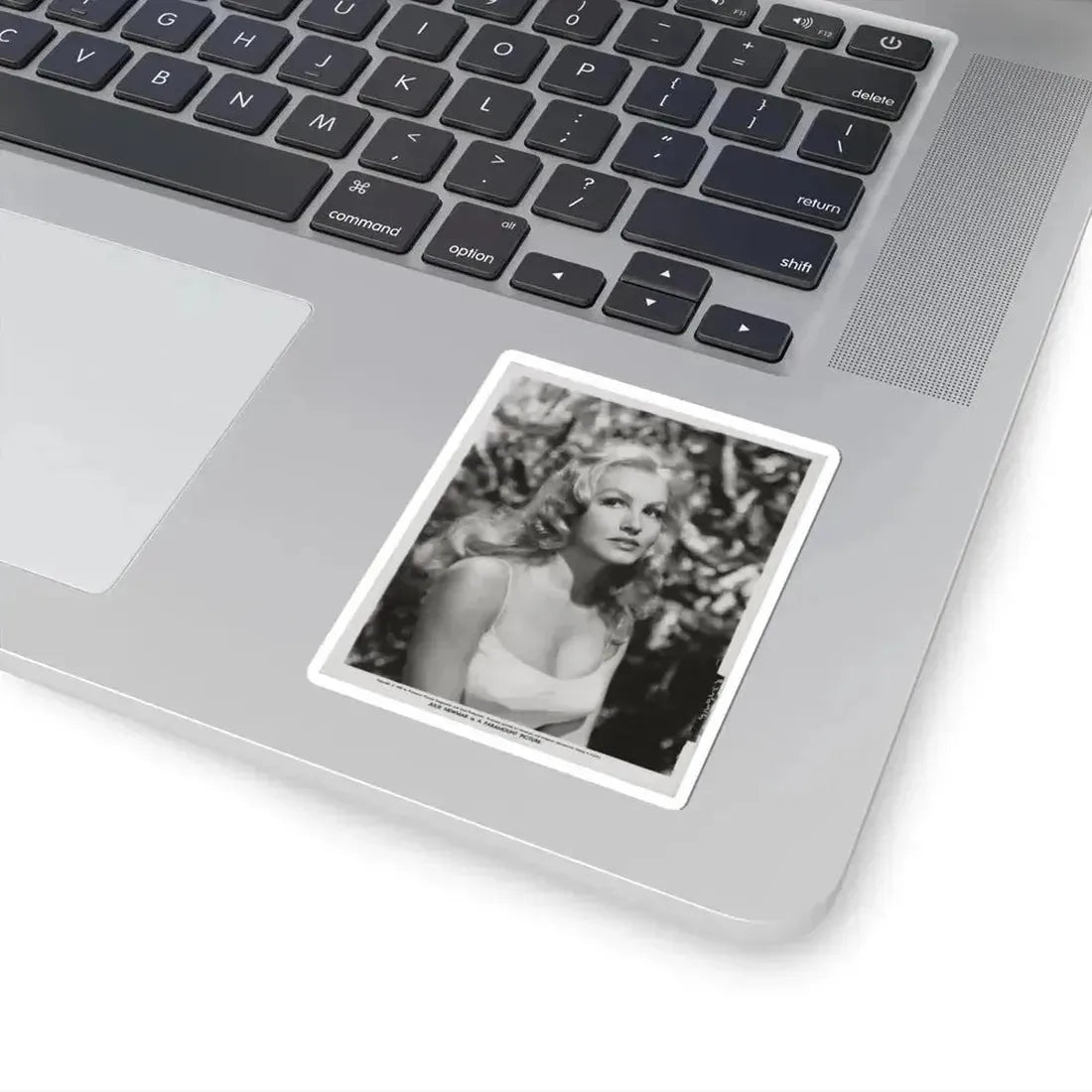 Julie Newmar #103 (Vintage Female Icon) STICKER Vinyl Kiss-Cut Decal - The Sticker Space