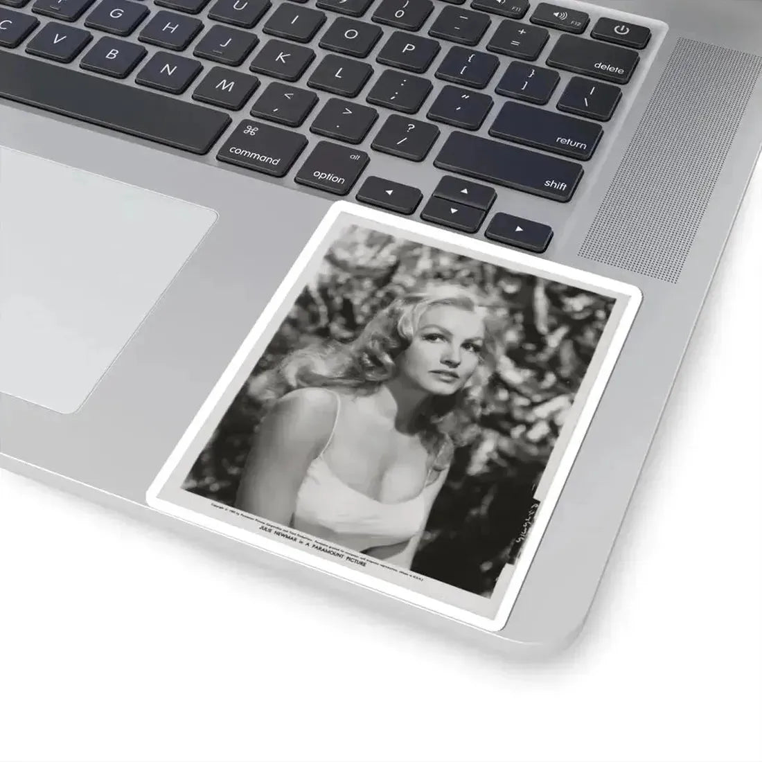 Julie Newmar #103 (Vintage Female Icon) STICKER Vinyl Kiss-Cut Decal - The Sticker Space