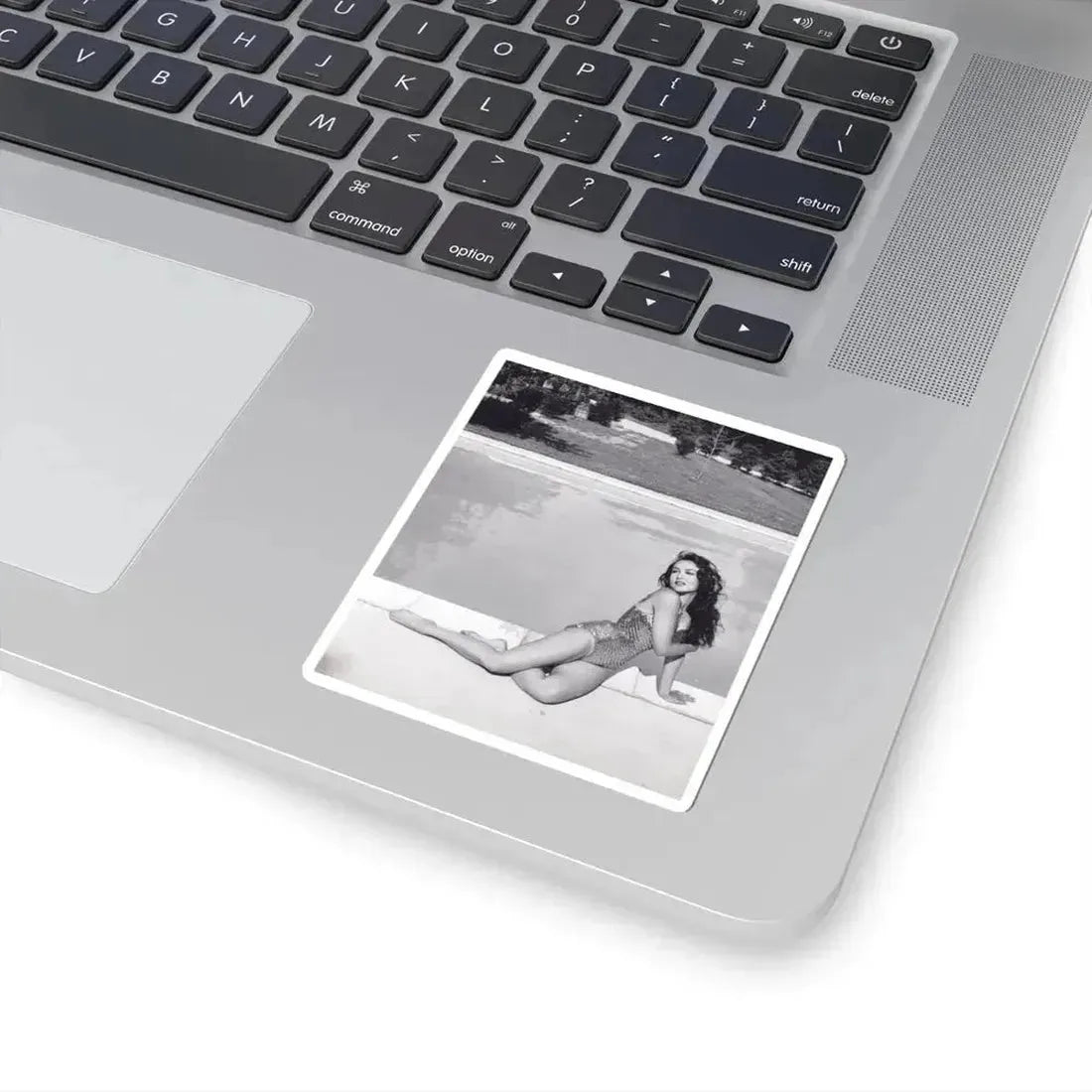 Julie Newmar #105 (Vintage Female Icon) STICKER Vinyl Kiss-Cut Decal - The Sticker Space