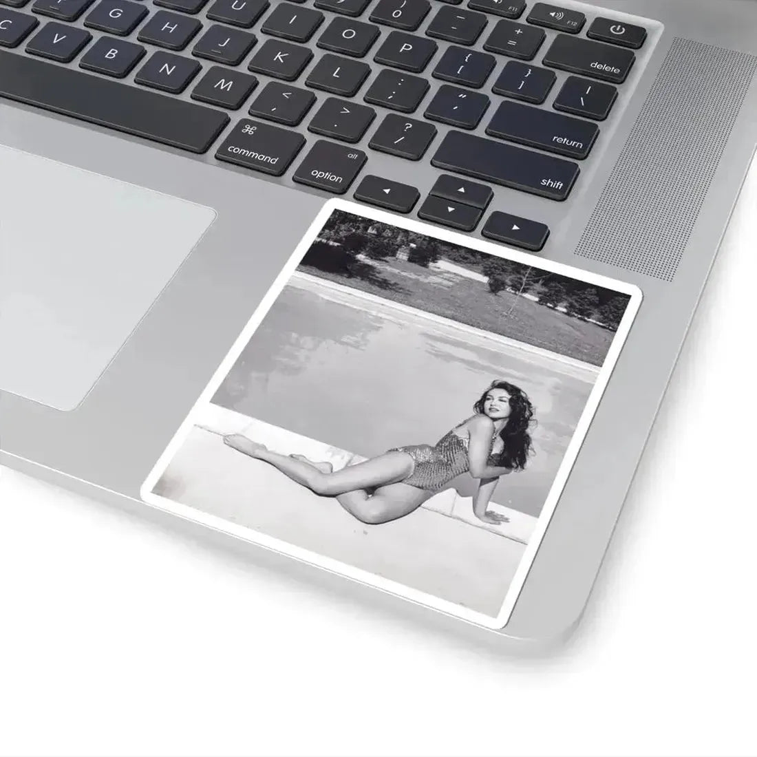 Julie Newmar #105 (Vintage Female Icon) STICKER Vinyl Kiss-Cut Decal - The Sticker Space