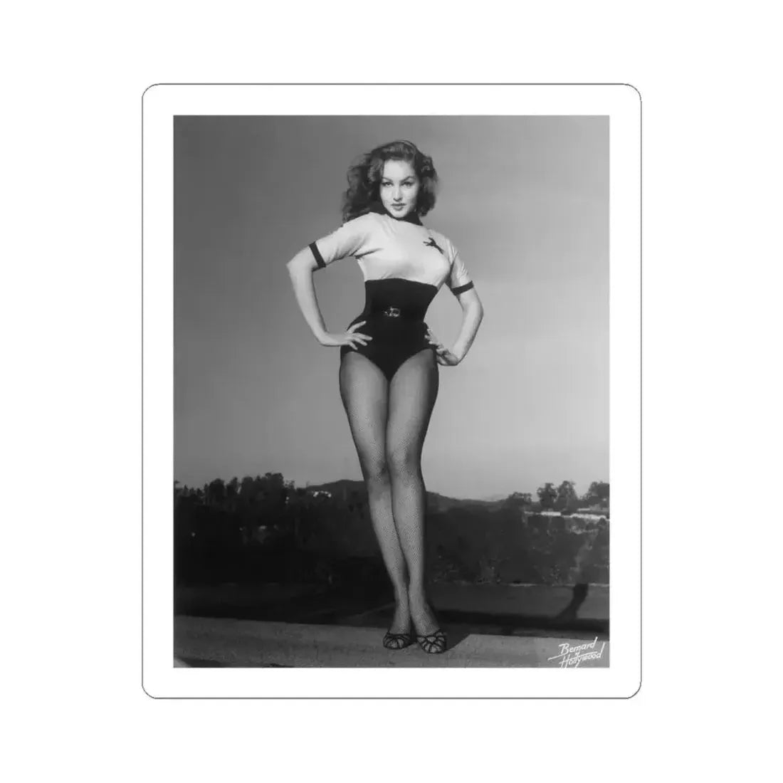 Julie Newmar #12 (Vintage Female Icon) STICKER Vinyl Kiss-Cut Decal 6 Inch White - The Sticker Space