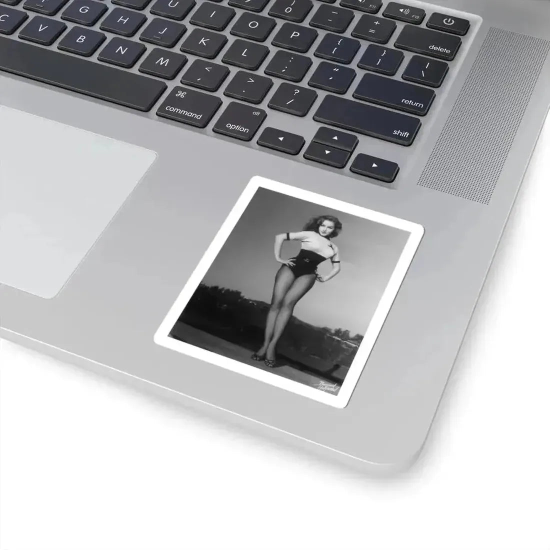 Julie Newmar #12 (Vintage Female Icon) STICKER Vinyl Kiss-Cut Decal - The Sticker Space