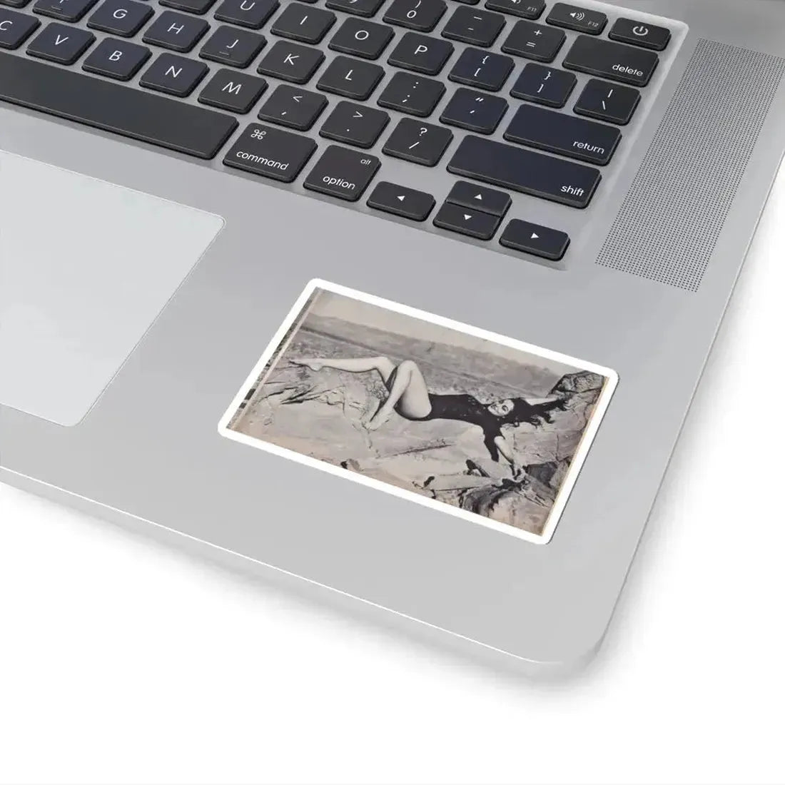 Julie Newmar #120 (Vintage Female Icon) STICKER Vinyl Kiss-Cut Decal - The Sticker Space