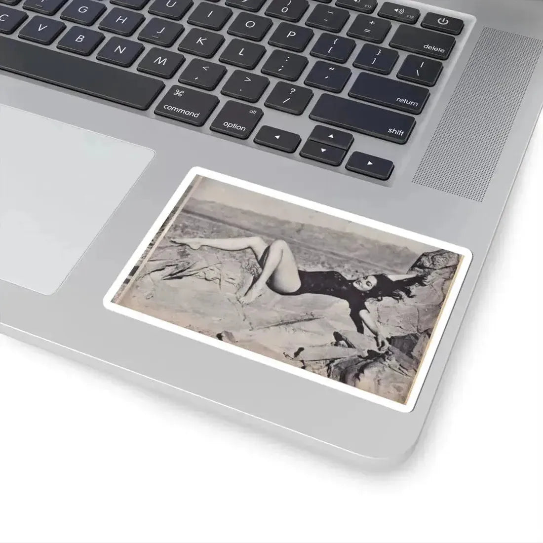 Julie Newmar #120 (Vintage Female Icon) STICKER Vinyl Kiss-Cut Decal - The Sticker Space