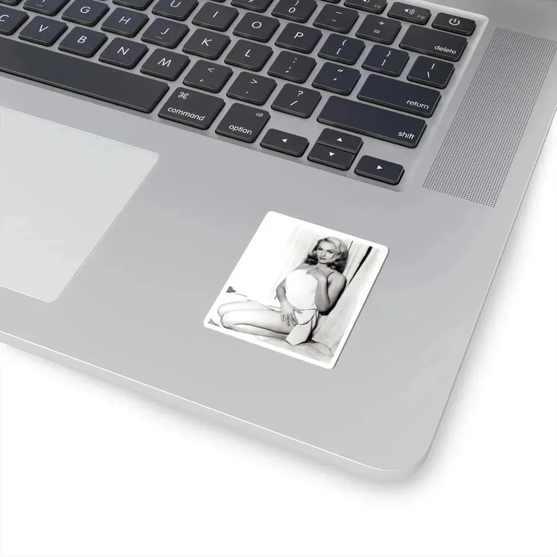 Julie Newmar #157 (Vintage Female Icon) STICKER Vinyl Kiss-Cut Decal - The Sticker Space