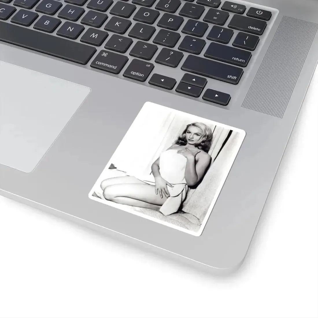 Julie Newmar #157 (Vintage Female Icon) STICKER Vinyl Kiss-Cut Decal - The Sticker Space
