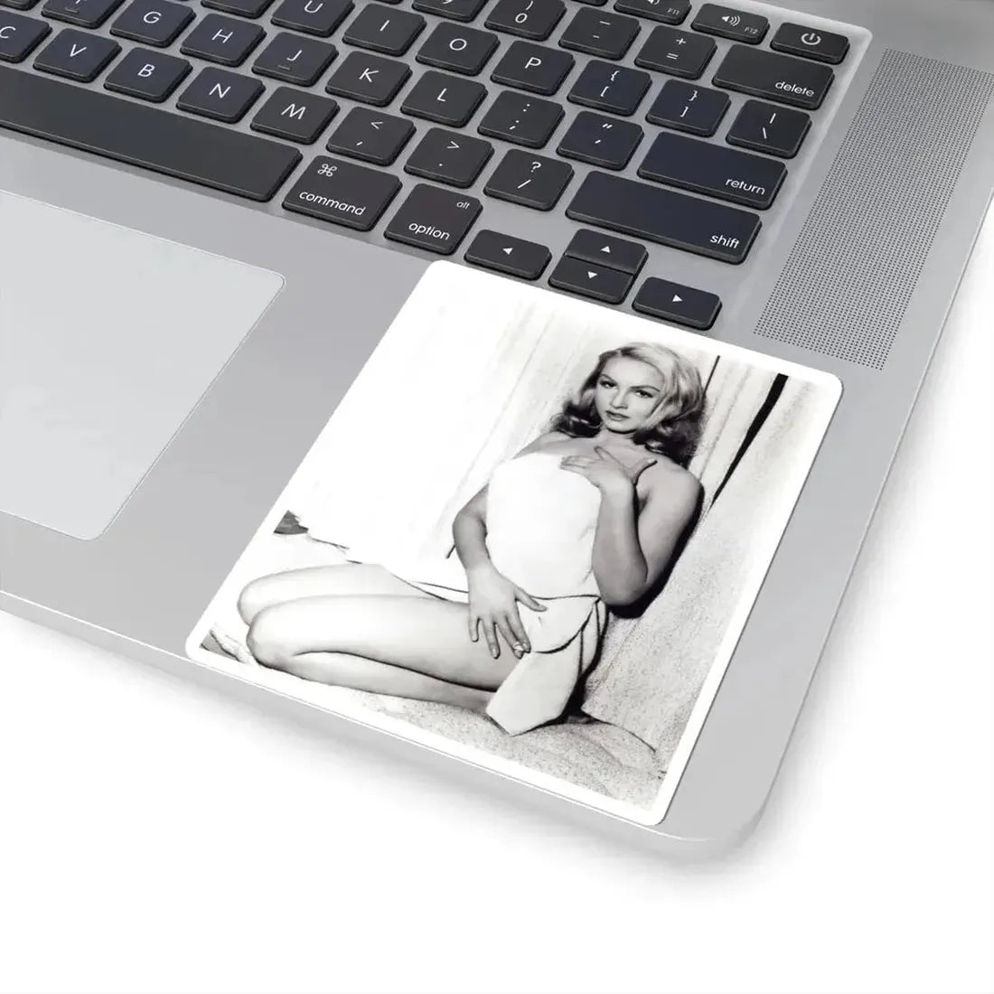 Julie Newmar #157 (Vintage Female Icon) STICKER Vinyl Kiss-Cut Decal - The Sticker Space